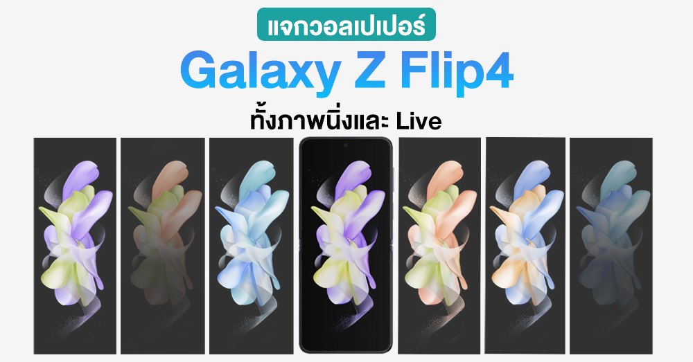 โหลดฟรี! แจกวอลเปเปอร์ Samsung Galaxy Z Flip4 มีให้เลือกเพียบทั้งภาพนิ่งและ Live